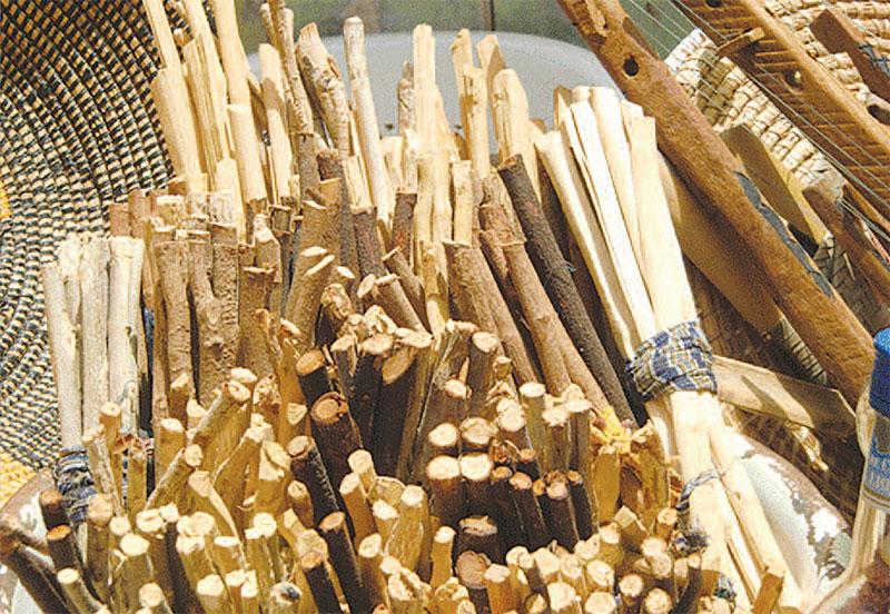 Cure dent Gouro Soump les "brosses à dents africaines "un bienfait incontestable.